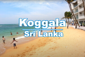 Koggala туры на Шри-Ланку