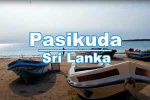 туры на Шри-Ланку Pasikuda
