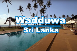 туры на Шри-Ланку Wadduwa